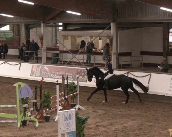 Reitturnier Marl, Reithalle Rohmann 2024