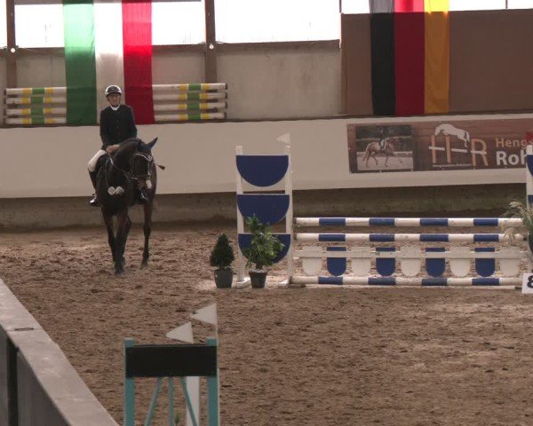 Reitturnier Marl, Reithalle Rohmann 2024