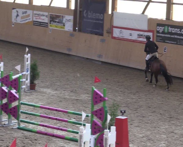 Reitturnier Fehraltorf 2024