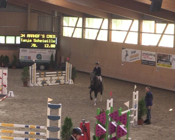 Reitturnier Fehraltorf 2024