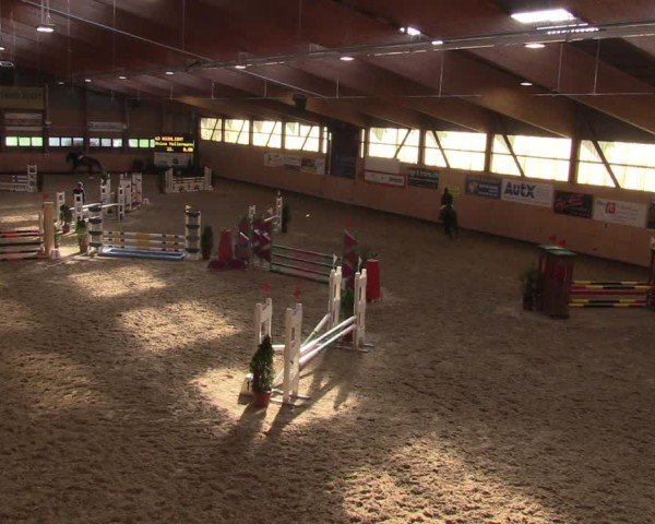 Reitturnier Fehraltorf 2024