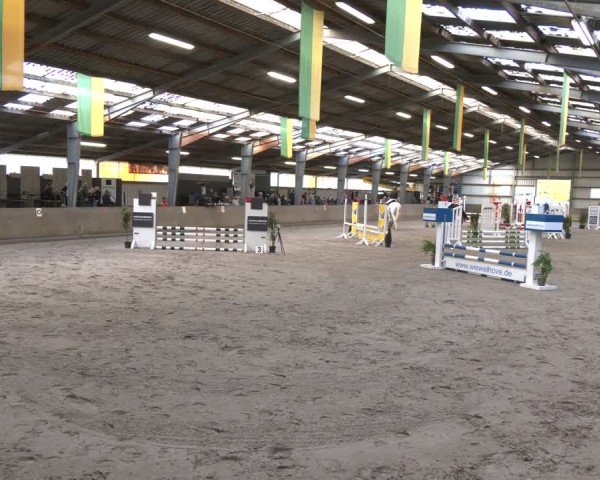 Reitturnier Ibbenbüren 2024