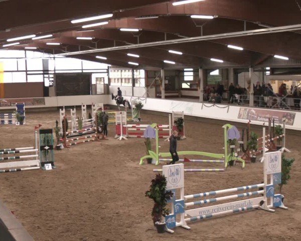 Reitturnier Marl, Reithalle Rohmann 2024