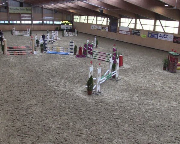 Reitturnier Fehraltorf 2024