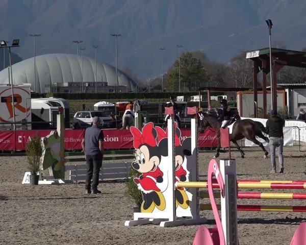 Reitturnier Giubiasco 2024