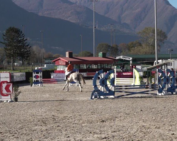 Reitturnier Giubiasco 2024
