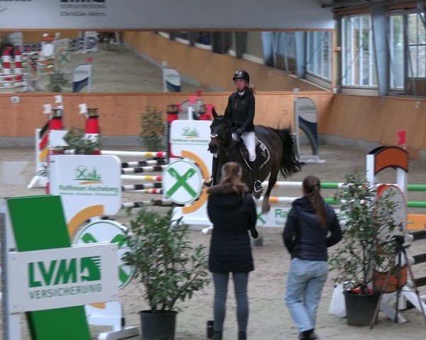 Reitturnier Münster-Amelsbüren 2024