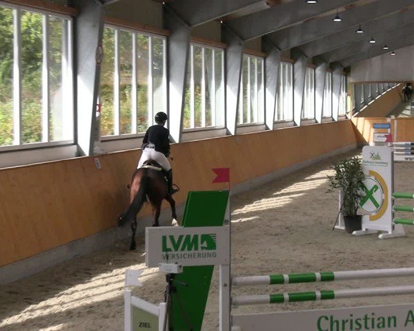 Reitturnier Münster-Amelsbüren 2024