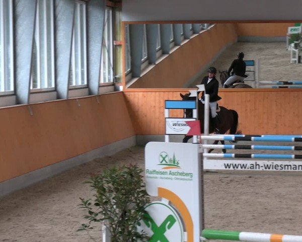 Reitturnier Münster-Amelsbüren 2024