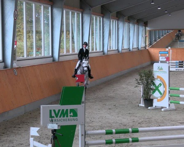 Reitturnier Münster-Amelsbüren 2024