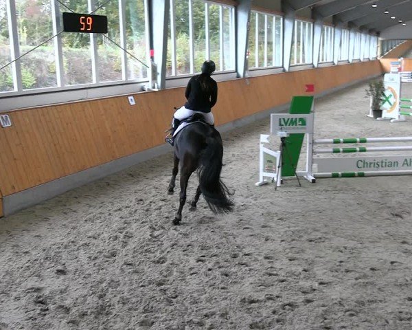 Reitturnier Münster-Amelsbüren 2024