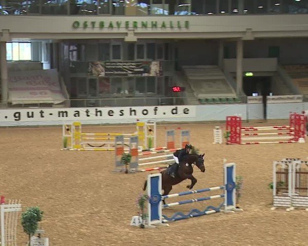 Reitturnier Kreuth/Opf. 2024