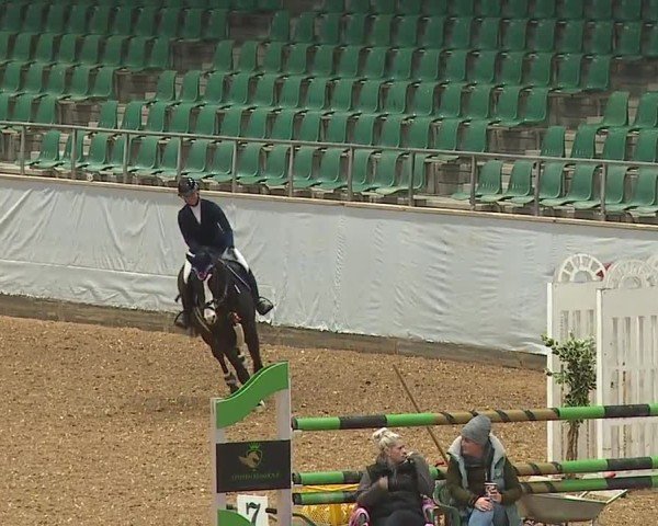 Reitturnier Kreuth/Opf. 2024