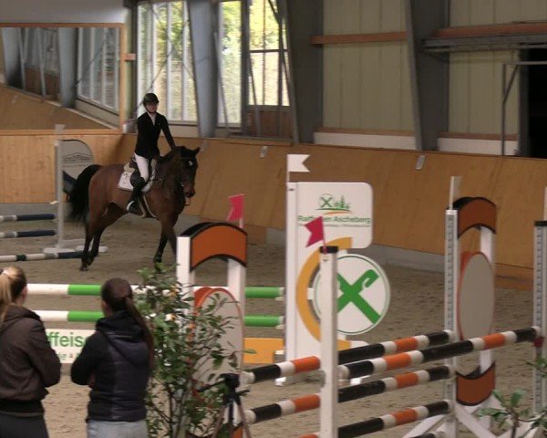 Reitturnier Münster-Amelsbüren 2024