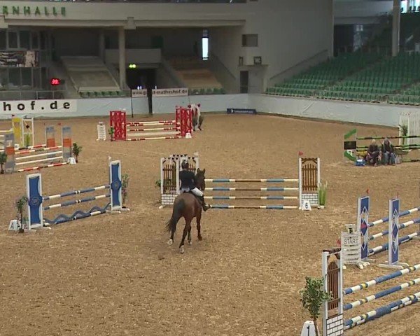 Reitturnier Kreuth/Opf. 2024