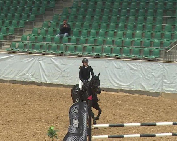 Reitturnier Kreuth/Opf. 2024