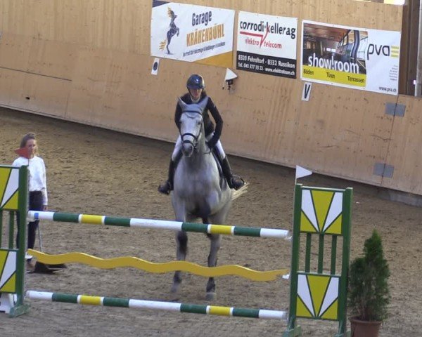 Reitturnier Fehraltorf 2024