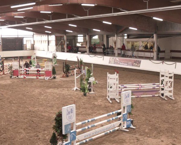 Reitturnier Marl, Reithalle Rohmann 2024
