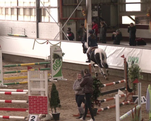 Reitturnier Marl, Reithalle Rohmann 2024