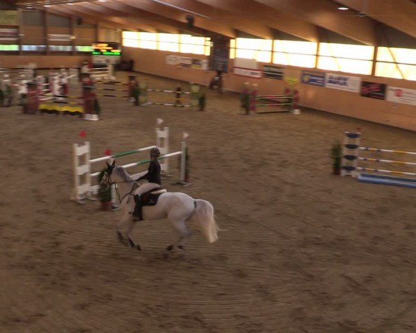 Reitturnier Fehraltorf 2024