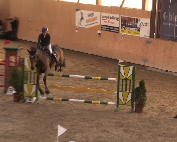 Reitturnier Fehraltorf 2024