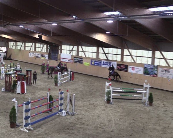 Reitturnier Fehraltorf 2024