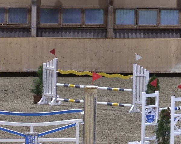 Reitturnier Fehraltorf 2024