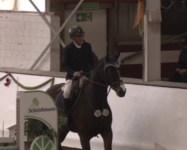 Reitturnier Marl, Reithalle Rohmann 2024