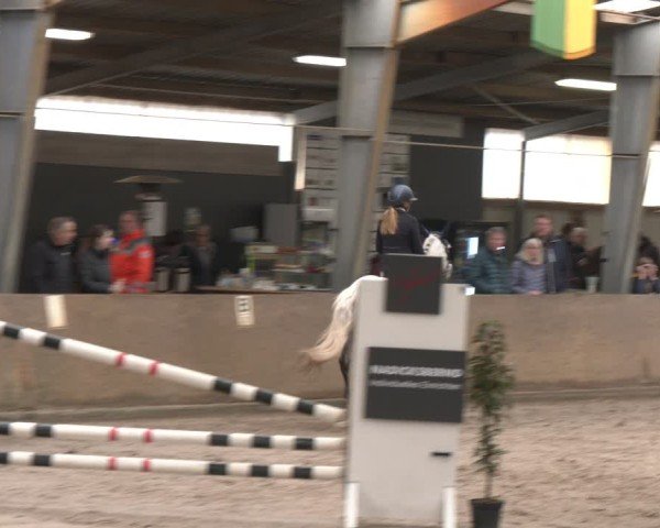 Reitturnier Ibbenbüren 2024