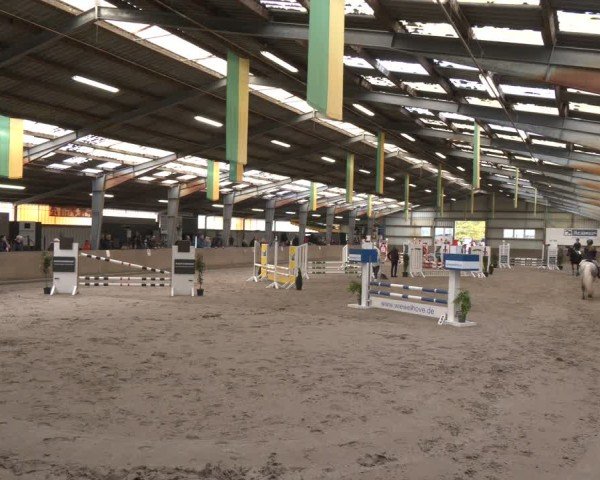 Reitturnier Ibbenbüren 2024