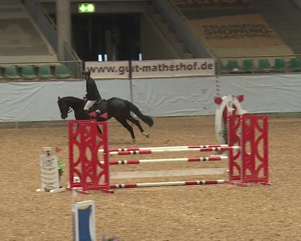Reitturnier Kreuth/Opf. 2024