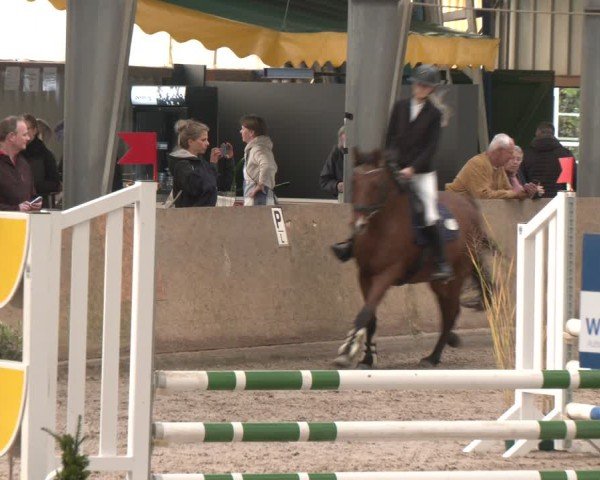 Reitturnier Ibbenbüren 2024
