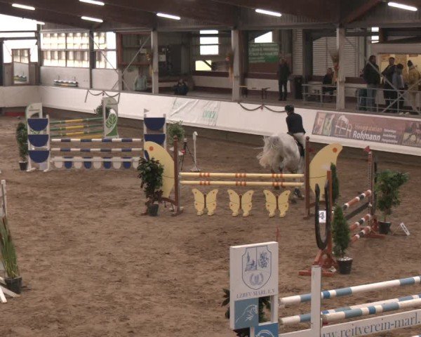 Reitturnier Marl, Reithalle Rohmann 2024