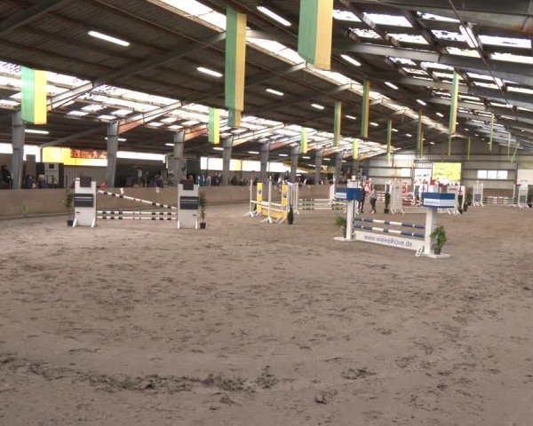 Reitturnier Ibbenbüren 2024