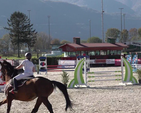 Reitturnier Giubiasco 2024