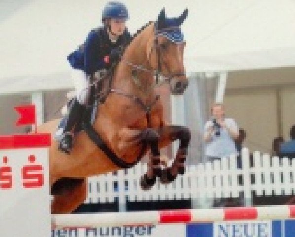 broodmare Polly Pocket (Holsteiner, 2005, from Colman)