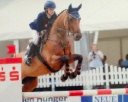 broodmare Polly Pocket (Holsteiner, 2005, from Colman)
