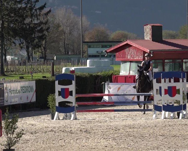 Reitturnier Giubiasco 2024