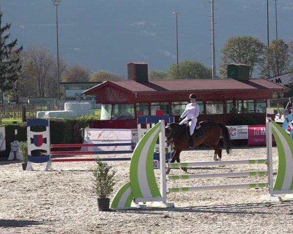 Reitturnier Giubiasco 2024