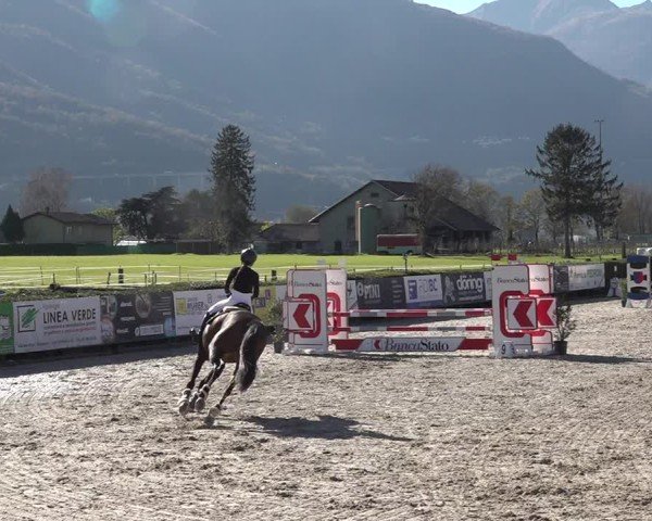 Reitturnier Giubiasco 2024
