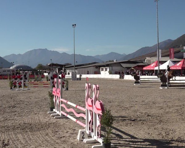 Reitturnier Giubiasco 2024