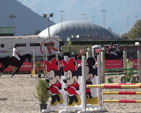 Reitturnier Giubiasco 2024