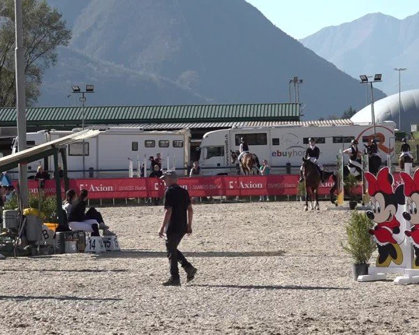 Reitturnier Giubiasco 2024