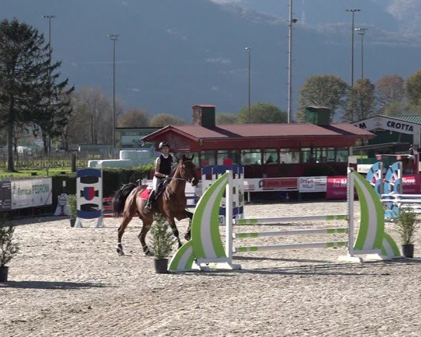 Reitturnier Giubiasco 2024