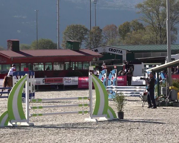 Reitturnier Giubiasco 2024