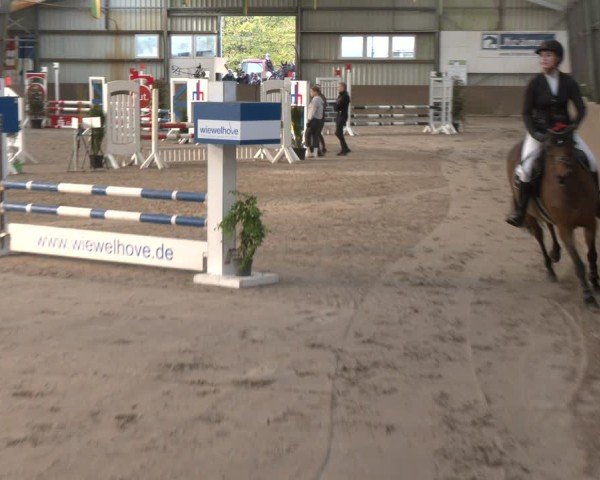 Reitturnier Ibbenbüren 2024
