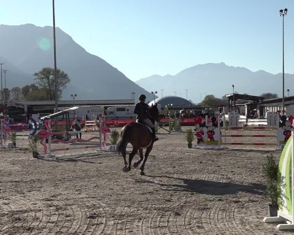 Reitturnier Giubiasco 2024