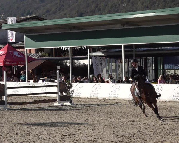 Reitturnier Giubiasco 2024