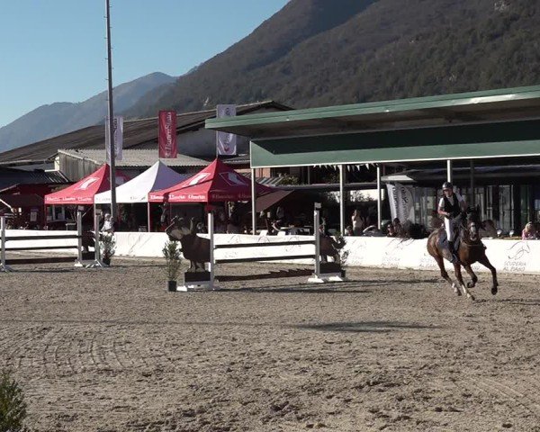 Reitturnier Giubiasco 2024
