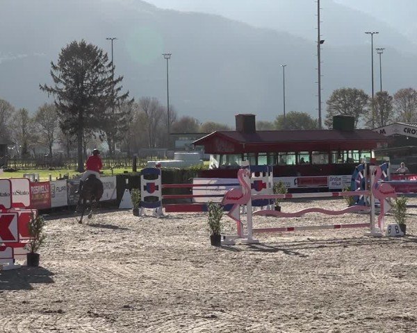 Reitturnier Giubiasco 2024